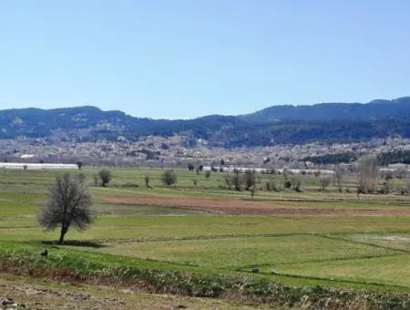 Çameli Belevide 5 000 M2 Müstakil Tapulu Yatırma Uygun Kelepir Tarla Satılık