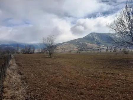 Denizli Çameli Belevi De 358 M2 Müstakil Tapulu Tarla  Hobi Bahçesi Satılık