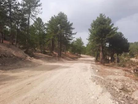 Çameli Cumalanında Eski Acıpayam Yoluna Sıfır Müstakil  6 230 M2 Arazi Satılık Veya Takas