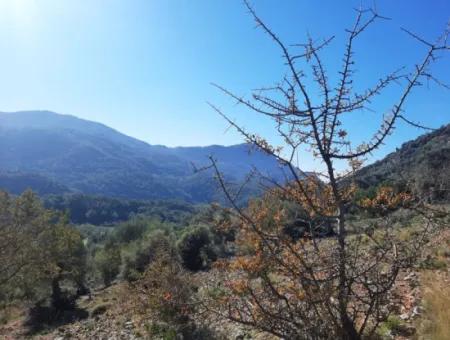 Muğla Ortaca Dalyan Gökbelde 3 100 M2 2B Arazisi Zilliyet Hakkı Devir Edilecek