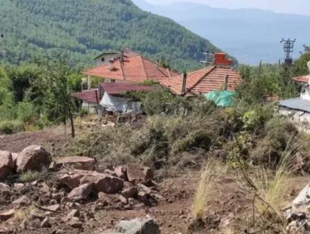 Muğla Köyceğiz Yayla Mah 570 M2 Arsa Satılık