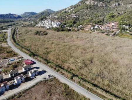 Muğla Ortaca Sarıgermede Satılık 14300 M2 Yatırıma Uygun Arazi