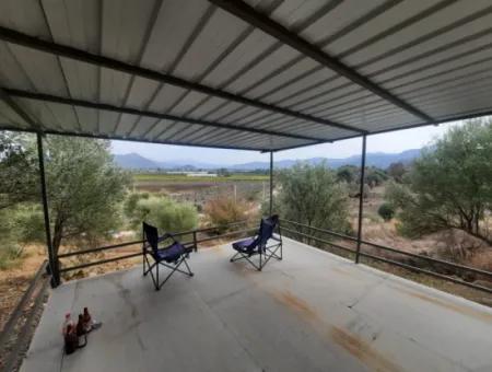 Eskiköyde 2 500 M2 Hazine Arazisi Zilliyet Hakkı Devir Edilecek Veya  Araç Takas Olur