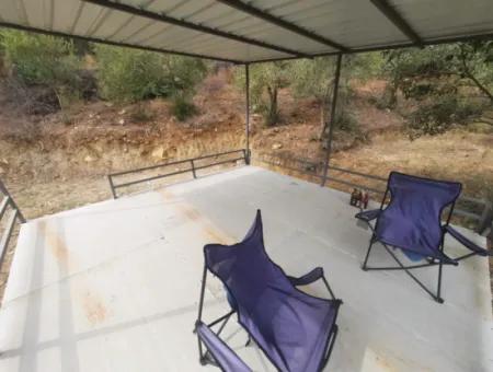 Eskiköyde 2 500 M2 Hazine Arazisi Zilliyet Hakkı Devir Edilecek Veya  Araç Takas Olur