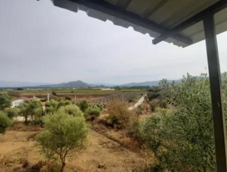 Eskiköyde 2 500 M2 Hazine Arazisi Zilliyet Hakkı Devir Edilecek Veya  Araç Takas Olur