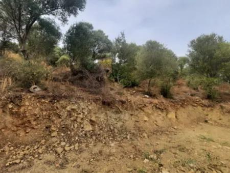 Eskiköyde 2 500 M2 Hazine Arazisi Zilliyet Hakkı Devir Edilecek Veya  Araç Takas Olur