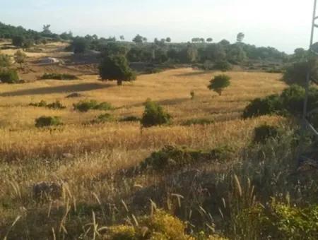 Seydikemer Boğaziçinde Satılık Deniz Manzaralı Arazi