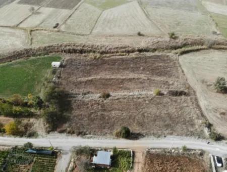 Çameli Belevide 5 000 M2 Müstakil Tapulu Yatırma Uygun Kelepir Tarla Satılık