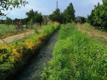 Köyceğiz Beyobasında Satılık Kelepir Tarla