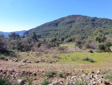 Muğla Ortaca Gökbelde Doğa İçinde 2 400 M2 Tarla Satılık