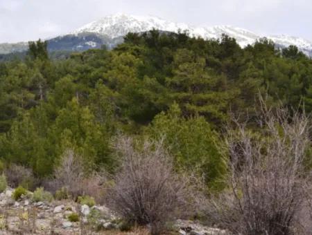 Fethiye, Nifte, 2 000 M2, Müstakil Satılık, Kelepir Arazi