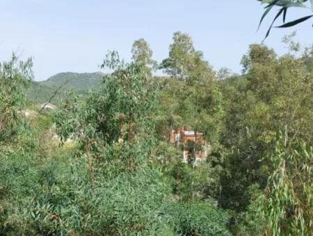 Dalaman'da Toplu Konut Yapmaya Uygun 18 Villa, 6 165 M2 İmarlı Arsa Satılık