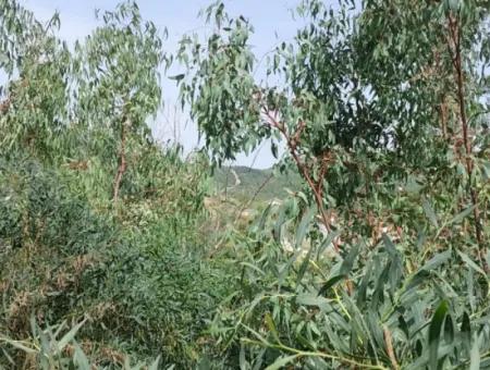 Dalaman'da Toplu Konut Yapmaya Uygun 18 Villa, 6 165 M2 İmarlı Arsa Satılık