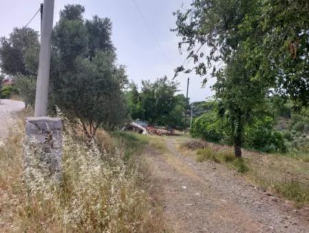 Dalaman'da Toplu Konut Yapmaya Uygun 18 Villa, 6 165 M2 İmarlı Arsa Satılık