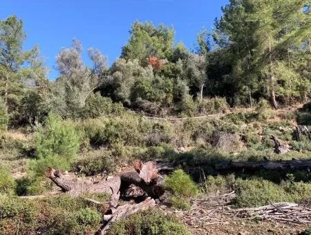 Göcek Te Satılık Yatırıma Uygun Arazi