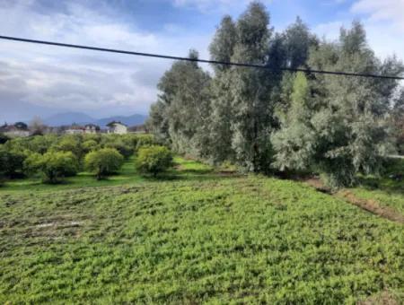 Köyceğiz Toparlar’da Ana Yola Cepheli 2.800 M² Ticari/Konut İmarlı Arsa Satılık