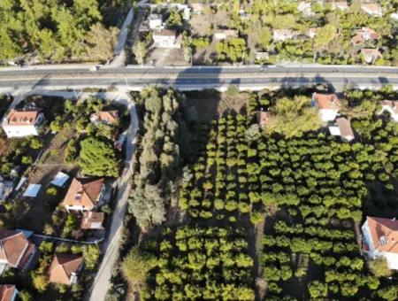 Köyceğiz Toparlar’da Ana Yola Cepheli 2.800 M² Ticari/Konut İmarlı Arsa Satılık