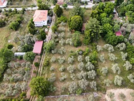 Muğla Menteşe Yaraş'ta Köy İçinde İmarlı 1272M2 Arsa Satılık.   