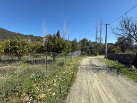 Köyceğiz Çandır'da 1000 M2 Satılık Arsa