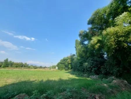 Köyceğiz Beyobasında Müstakil 1.300 M2, 250M2 İnşaat Hakkı Olan Kelepir Arsa Satılık