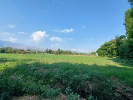Köyceğiz Beyobasında Müstakil 1.300 M2, 250M2 İnşaat Hakkı Olan Kelepir Arsa Satılık