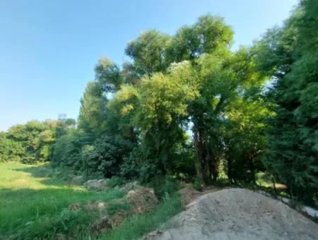 Köyceğiz Beyobasında Müstakil 1.300 M2, 250M2 İnşaat Hakkı Olan Kelepir Arsa Satılık