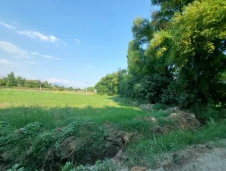 Köyceğiz Beyobasında Müstakil 1.300 M2, 250M2 İnşaat Hakkı Olan Kelepir Arsa Satılık