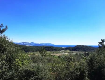 Mugla Sarıgermede Deniz Manzaralı 400 M2 İmarlı Arsa Satılık Veya Takas