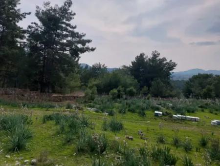 Dalaman Gürköyde 3.500 M2 Deniz Manzaralı Müstakil Arazi Satılık