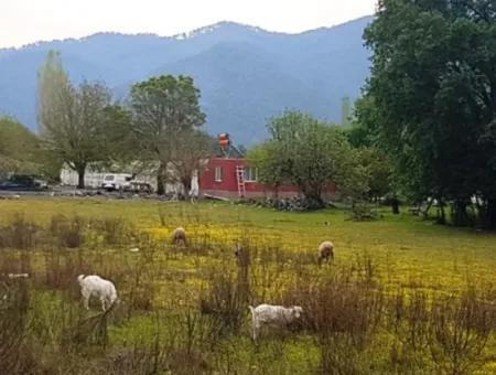 Muğla Ortaca Okçularda Dalyan Anayoluna Sıfır Yatırıma Uygun 3 577 M2 Arazi Satılık