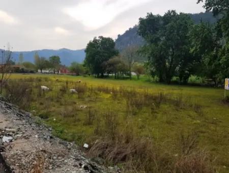 Muğla Ortaca Okçularda Dalyan Anayoluna Sıfır Yatırıma Uygun 3 577 M2 Arazi Satılık