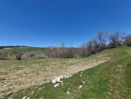 Çameli Cevizlide 650 M2 İmarlı Arsalar Satılık