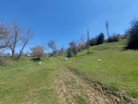 Çameli Cevizlide 650 M2 İmarlı Arsalar Satılık