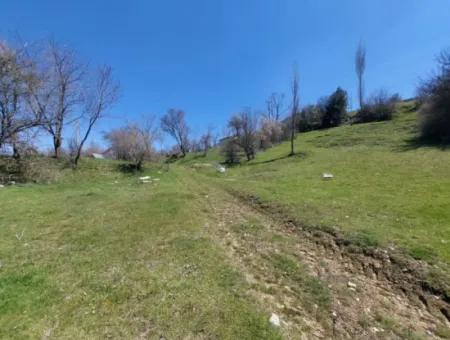Çameli Cevizlide 650 M2 İmarlı Arsalar Satılık