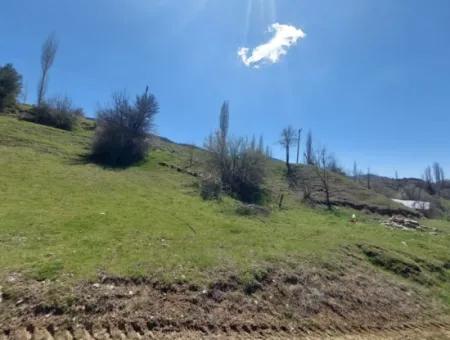 Çameli Cevizlide 650 M2 İmarlı Arsalar Satılık
