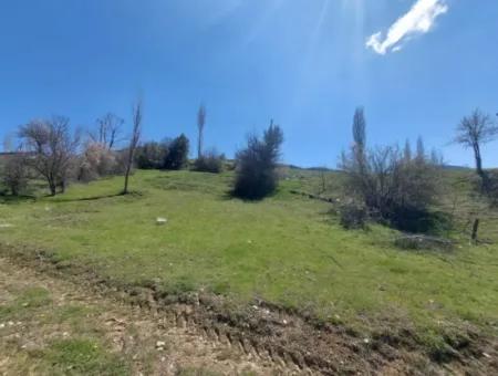 Çameli Cevizlide 650 M2 İmarlı Arsalar Satılık