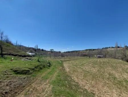 Çameli Cevizlide 650 M2 İmarlı Arsalar Satılık