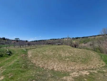 Çameli Cevizlide 650 M2 İmarlı Arsalar Satılık