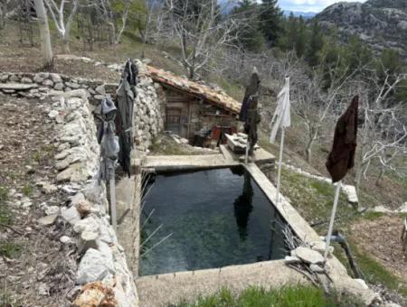Antalya Akseki Çimiköy  9 400 M2 Müstakil Kelepir Ceviz Bahçesi Satılık Veya Takas