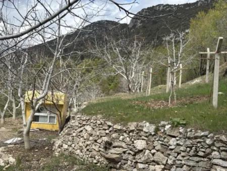 Antalya Akseki Çimiköy  9 400 M2 Müstakil Kelepir Ceviz Bahçesi Satılık Veya Takas