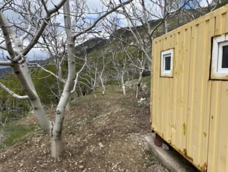 Antalya Akseki Çimiköy  9 400 M2 Müstakil Kelepir Ceviz Bahçesi Satılık Veya Takas