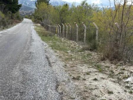 Antalya Akseki Çimiköy  9 400 M2 Müstakil Kelepir Ceviz Bahçesi Satılık Veya Takas