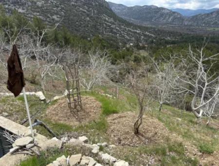 Antalya Akseki Çimiköy  9 400 M2 Müstakil Kelepir Ceviz Bahçesi Satılık Veya Takas
