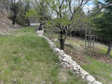 Antalya Akseki Çimiköy  9 400 M2 Müstakil Kelepir Ceviz Bahçesi Satılık Veya Takas