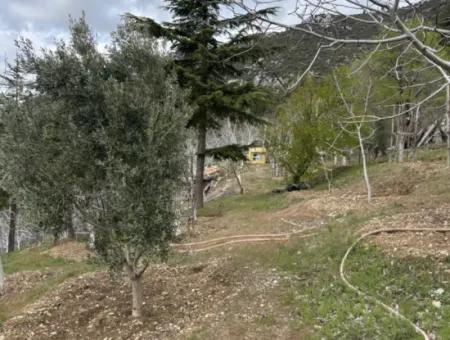 Antalya Akseki Çimiköy  9 400 M2 Müstakil Kelepir Ceviz Bahçesi Satılık Veya Takas