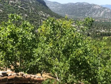 Antalya Akseki Çimiköy  9 400 M2 Müstakil Kelepir Ceviz Bahçesi Satılık Veya Takas