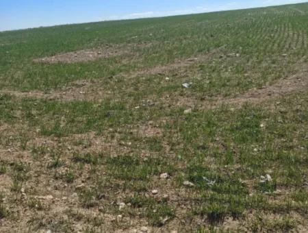 Konya Kadınhanı Başkuyu 650.000 M2 Kelepir Arazi Satılık
