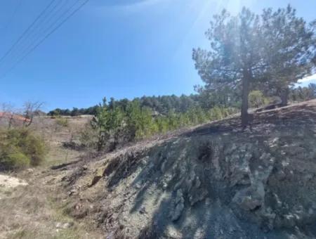 Çameli Gökçeyakada Satılık Kelepir Arazi 1 844 M2 Müstakil  Arazi Satılık.