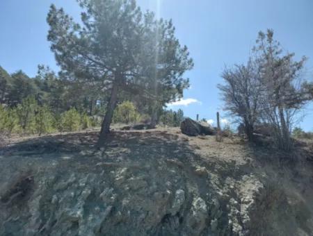 Çameli Gökçeyakada Satılık Kelepir Arazi 1 844 M2 Müstakil  Arazi Satılık.