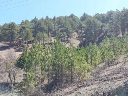 Çameli Gökçeyakada Satılık Kelepir Arazi 1 844 M2 Müstakil  Arazi Satılık.